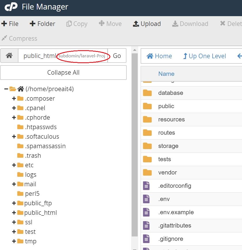 Set .env file for Laravel project on Hosting Server
